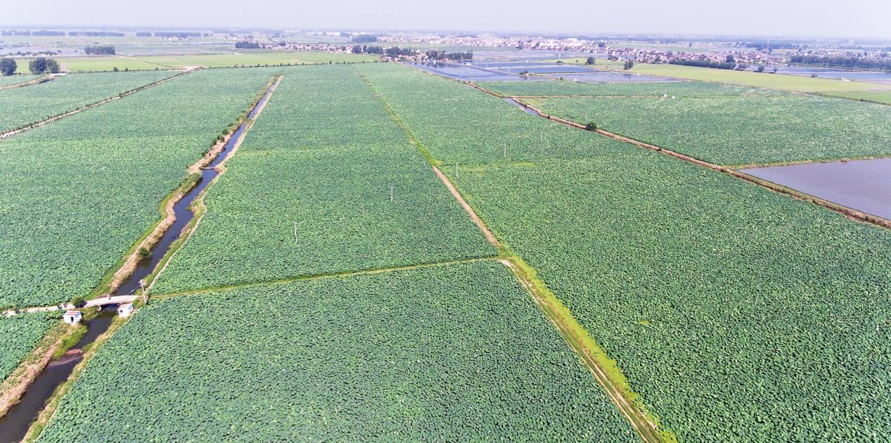 中国·ca888亚洲城(股份有限公司)-Mobile Website